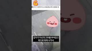 자전거 잼민이 빌런의 근황