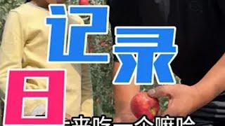 50岁单亲爸爸的日常生活 记录真实生活 单亲家庭 农村生活 苹果熟了