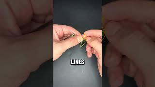 How To Tie The Worlds Fair Knot