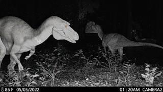 15 Dinosaurs Caught On Camera And Seen In Real Life