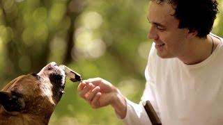 Сергей Рыбачёв - "ЖДИ МЕНЯ" (стих-песня)