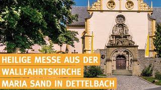 Heilige Messe live aus Dettelbach (katholischer Gottesdienst) - 23.11.2024