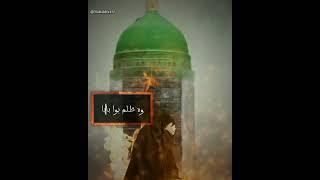 BHOOLI NAHI ZEHRA sa | Farhan Ali Waris | Nohay 2019 @SyedFarhanAliWaris #azadar #shorts #fyp