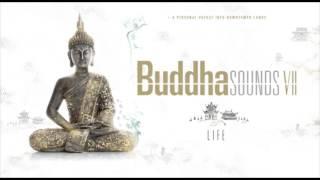 Buddha Sounds Vol. 7 "LIFE" - Full Album - The complete 15 songs record