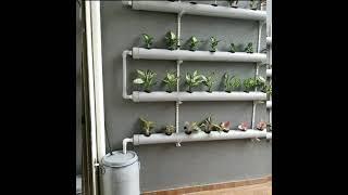 Hydroponics Setup At Home 48 Plants