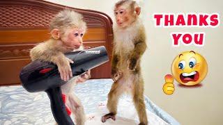 PiPi the monkey received special care from his family after the incident