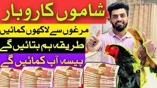 How to start SHAMO Business in Pakistan with Danish Arif GFB || Business Chain of GFB#shamo #chicken