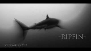 333 -RIPFIN " battle scars"