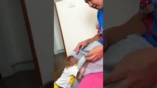 Hello everyone! Baby monkey is very Smart and Cute #familyBibi #Lala #Bibi #typ #Short #reels