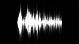 N3RD PLAY- Hear Them Calling -Haymaker Records