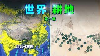 “粮食危机”的背后：世界耕地，如何分布【三维地图看世界】