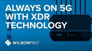 Continually Amplify 5G with XDR Technology | WilsonPro