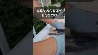 벌레가 자기집에서 안나온다... 방충망 교체시 샷시청소 @초롬인