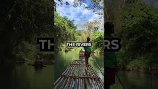 Amazing Experience in Jamaica - Martha Brae River