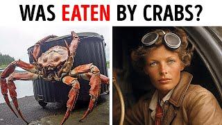 Giant Crabs: The Key to Amelia Earhart's Disappearance?