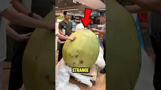 COCONUT Water Look Under The Microscope‼️