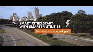 Viewpoint: The Role of the Smart Grid