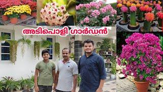 അടിപൊളി ഗാർഡൻ ടൂർ  | 10 സെന്റിലെ അത്ഭുത ഗാർഡൻ | Garden Tour Malayalam | Vasi Vlogs