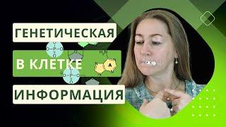 Био ЕГЭ | Генетическая информация в клетке | ДНК и РНК