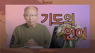 [10월 26일] 기도의 언어 | 고린도전서 14:1-25 | 하나님의 숨결