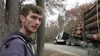 LOG LIFE / Backwoods Loggers of Virginia  "Growing Pains"