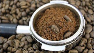 Zebad Coffee: A Leading Exporter of Quality, Sun-Dried, Organic and Traceable Ethiopian Coffee