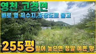 영천땅 매매,바로 옆 저수지 세면포장까지