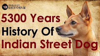 The Ancient History of Indian Pariah Dog