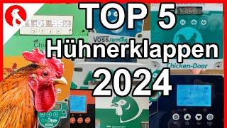 F245   Die TOP5 Hühnerklappen 2024 - Jensman and the Huhns