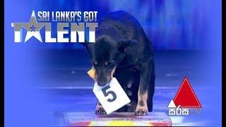 ගණන්කාර බ්ලැකී Got Talent ඇවිත් | SLGT performance by Dog | Sri Lanka's Got Talent 2018