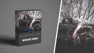 Moody Gray - Moody Gray Free Presets Lightroom Mobile DNG | Brightness