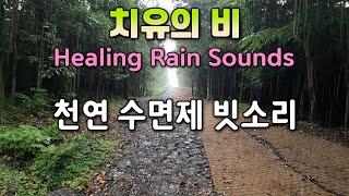 Rain sounds on a forest path that provides healthy sleep / Rain sounds for insomnia