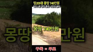 ((긴급))  바다 1분거리의 최고의 땅 209평이 몽땅 740만원 농지취득자격증 불필요!!