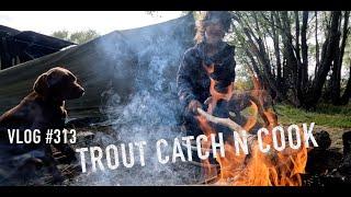 New Zealand adventure travel  VLOG #313 road tripping with Sonny Jim part 2 - trout hunting