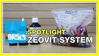 Spotlight on the KZ Zeovit System | BRStv