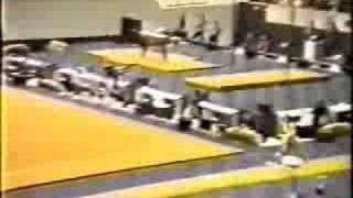 Wang Xiaoyang - 1987 Worlds EF - Vault 2