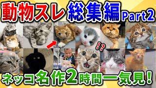 【2ch動物スレ】ネッコ総集編！名作ネコ動画や画像などまとめて2時間一気見！【猫好きには溜まらない動画、画像集】