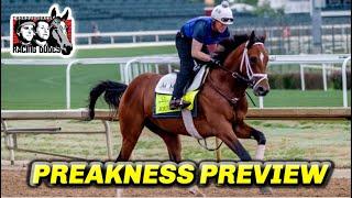 Preakness Stakes Preview & FREE Picks 2025 | Who WINS the Second Leg of the Triple Crown