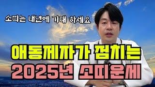 2025년 소띠는 기대하셔도 좋겠습니다 전체 운세 나이별 운세 지금 알려드립니다