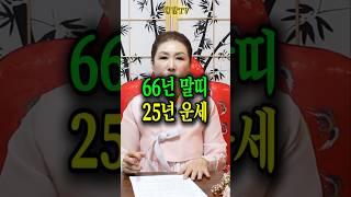 66년말띠25년 1월~3월 운세 #말띠