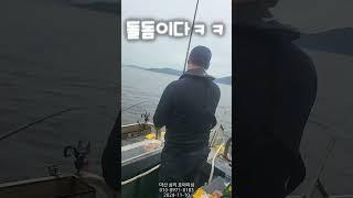 #fishing #낚시 #감성돔 #카고 #선상낚시 #마산 #창원 #호야피싱 #호야호