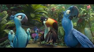 Rio 2 - blue macaws