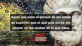 Conocer el porqué de las cosas, el ansia de saber y buscar la verdad | Docta Ignorancia