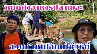 ค่าอาหารปลาแพง สวนกำภูใช้ นวัตกรรมลุงพร#บ้านสวนกำภูEP1218