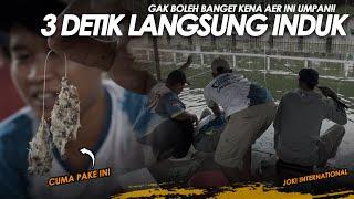 DAPET ILMU BARU !! PAKE GINIAN DOANG 3 DETIK LANGSUNG DAPET INDUK || Am#499