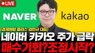 네이버 카카오 주가 하락, 매수 기회인가? 조정 시작인가? ( 경제원탑 플러스 김민규 대표 )