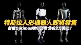 【Tesla Humanoid Robot Optimus】Musk Confirms Next Year Delivery! Launching 2025, Priced $20,000?