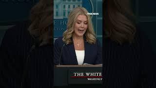Karoline Leavitt blames "judicial activists" for the "real constitutional crisis" happening in US