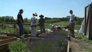 Organic Agriculture at Washington State University