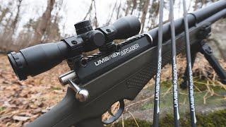 Umarex AirSaber | First Look | 100 Yards